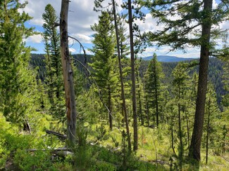 TBD Brewster Creek Rd, Philipsburg, MT 59858