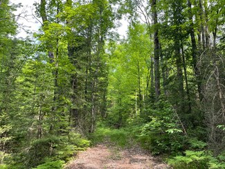 ON Griffith Rd Unit 14.56+/- A, Butternut, WI 54514