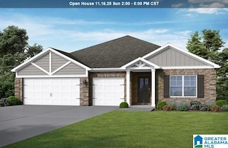 100 Birchwood Ln, Alabaster, AL 35007