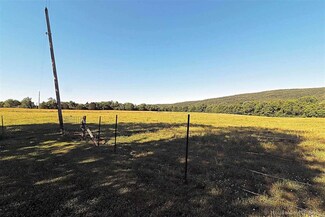 0 County Road 27, Caledonia, MO 63631
