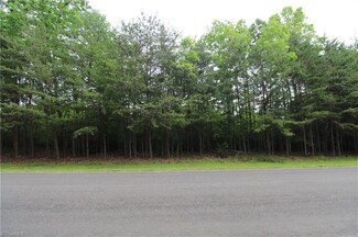 0 Apple Blossom Ln, Westfield, NC 27041