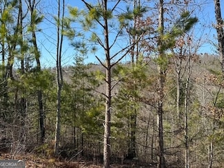LOT 11 Long View Ln, Blue Ridge, GA 30513