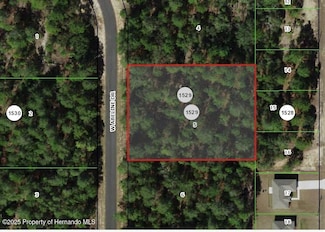 4057 W Abeline, Citrus Springs, FL 34433