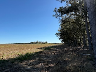 64 Acres Unit TBD Vox Highway, Hemingway, SC 29554