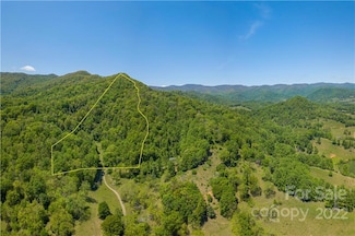 99999 Willow Creek Rd, Leicester, NC 28748