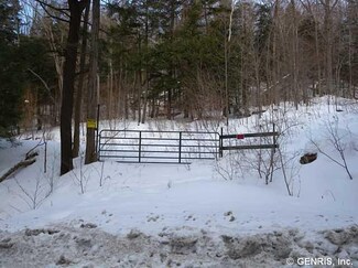 0 Pine Hill Rd E Unit R268085, Cohocton, NY 14826