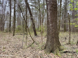 0 Robinson Rd Unit 4110838, Canton, MS 39046