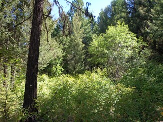 0 Union Ridge Rd Unit 829682, Republic, WA 99166