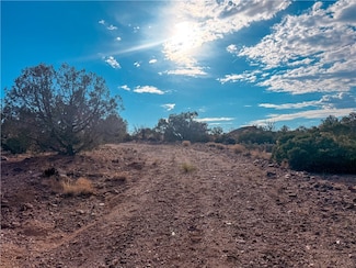 176 N Willows Ranch Rd Rd, Kingman, AZ 86401