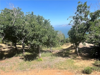3031 Westridge Dr, Kelseyville, CA 95451