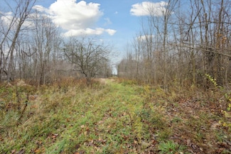 0 24th Ave, Bangor, MI 49013