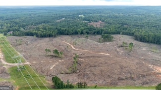 2387 Lassiter Rd, Forsyth, GA 31029