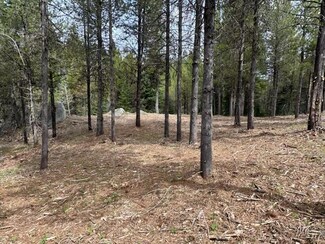 Lot 29 Sawtooth Loop Unit Lot 29, Cascade, ID 83611