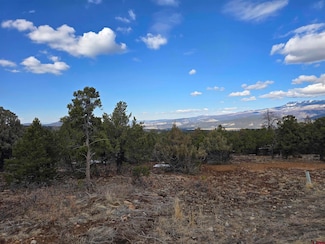 30 Pinon Rd W, Ridgway, CO 81432