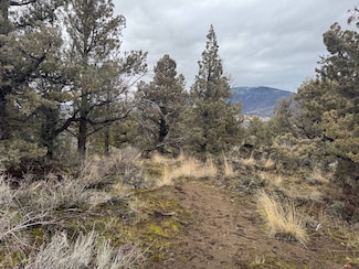 Lot 8 Perla Dr Unit Blk 8, Montague, CA 96064