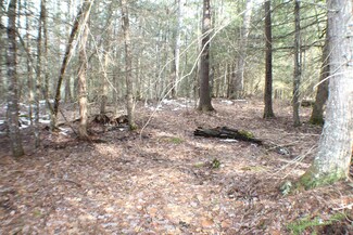 0 Beaver Creek Rd Unit 25-124, Minehaha Springs, WV 24954