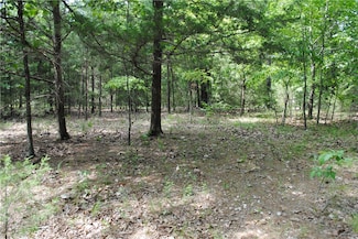 Lots 76 & 77 Robin Rd, Rogers, AR 72756