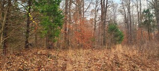 0000 Cool Springs Rd, Morgantown, KY 42261
