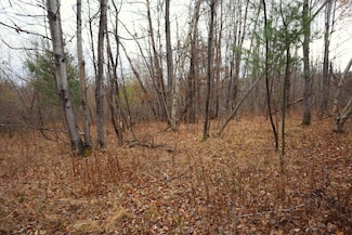 0 Lyons Lake Rd Unit WP002 22211561, Nassau, NY 12123