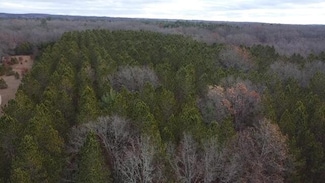 VL N High Bridge Rd, Brethren, MI 49619