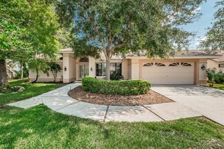 350 Waterford Cir E, Tarpon Springs, FL 34688