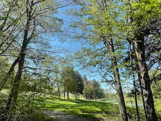 530 Finbars Forest Rd, Manchester Center, VT 05255