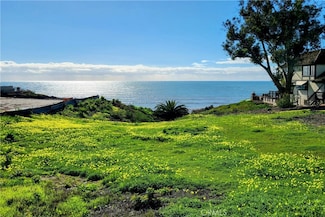 35291 Camino Capistrano, Dana Point, CA 92624