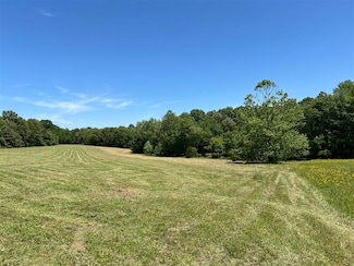 1500 Stafford Hollow Rd, Adolphus, KY 42120