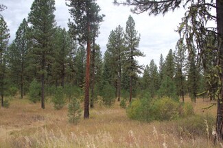 Lot 9 Timber Ridge Dr Unit 9, New Meadows, ID 83654