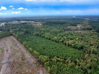 Off Gasburg Rd, Brodnax, VA 23920