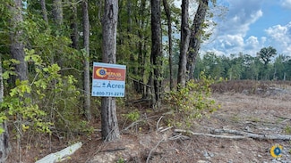 County Road 21, Rock Springs, AR 71667