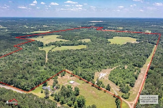 TBD Fm 3135 (+ -266ac), Henderson, TX 75652