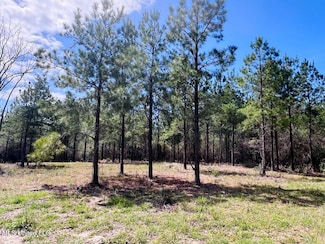 0 Egg Farm Rd, Poplarville, MS 39470