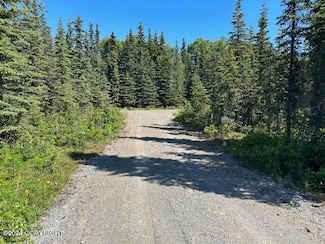 52302 Treasure Chest Ave, Nikiski/North Kenai, AK 99611
