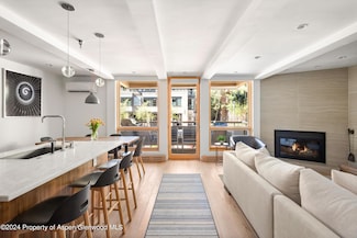 600 E Main St Unit 205, Aspen, CO 81611