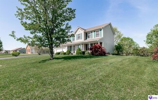 163 Chase Lake Rd, Rineyville, KY 40162