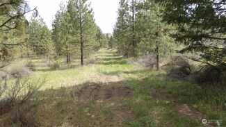 1 Pine Meadow Dr N, Davenport, WA 99122