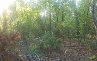 LOT 3 Bluebird Ln, Blue Ridge, GA 30513