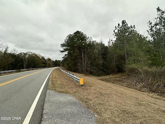 Tract#6326 Tri County Rd Unit 59 +/- AC, Graceville, FL 32440