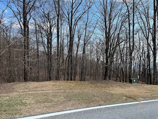 0 Plumley Summit Rd Unit 11443687, Landrum, SC 29356