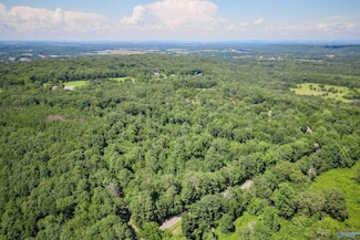 5 Acres Part A Willow Bend Rd, Decatur, AL 35603