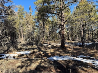 0 Golden Eagle Unit 30 220194831, Bonanza, OR 97623