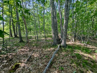 Lot TBD W Hamlet Rd, Newcastle, ME 04553