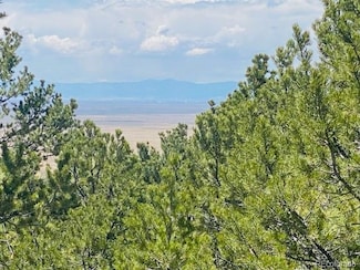65 Mill Run Unit 56, Alamosa, CO 81101