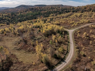 00 Birch Tree Ln, Smuglrs Ntch, VT 05464