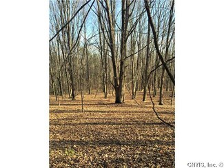 0 Lafayette Rd Unit S345538, Lafayette, NY 13084