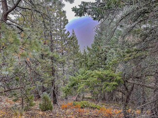 1111 Amazon Lode Dr, Jamestown, CO 80455