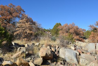 00 Old Duquesne Rd Unit 5, Patagonia, AZ 85624
