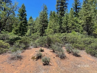 850 Chrome Mine, Hayfork, CA 96041