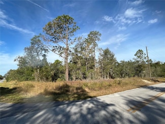 00 SW Breezy Point Dr, Dunnellon, FL 34431